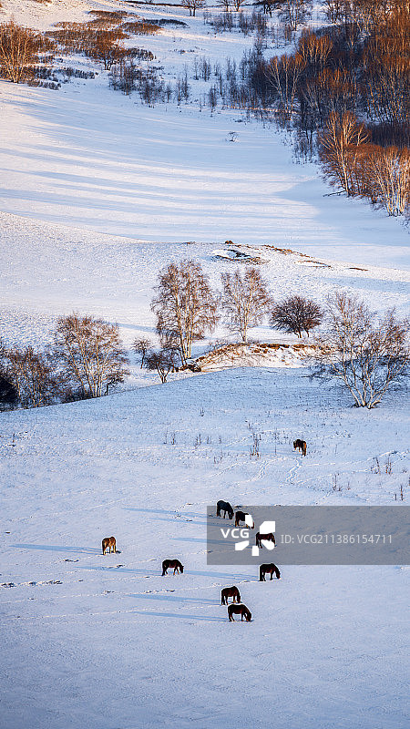 坝上冬趣.图片素材