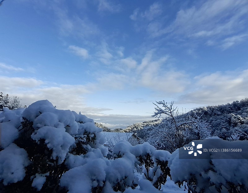 雪 期待已久的雪如约而至图片素材