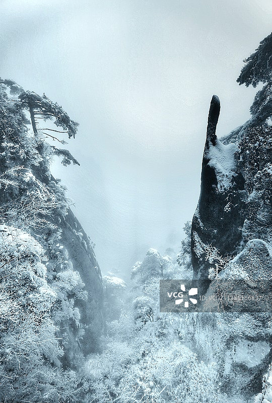 雪中一仙指图片素材