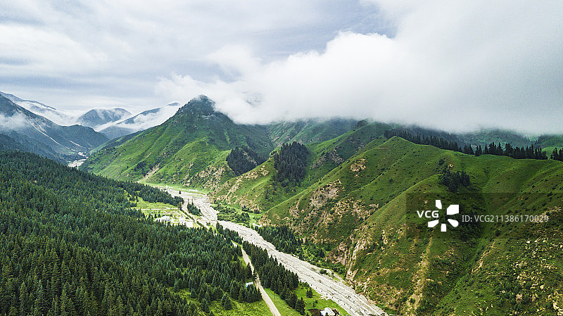 青海冰沟林海森林峡谷图片素材