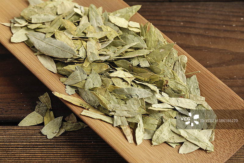 中华传统药材番泻叶图片素材