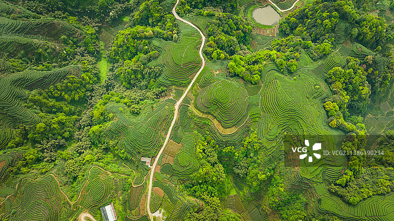 大地指纹图片素材