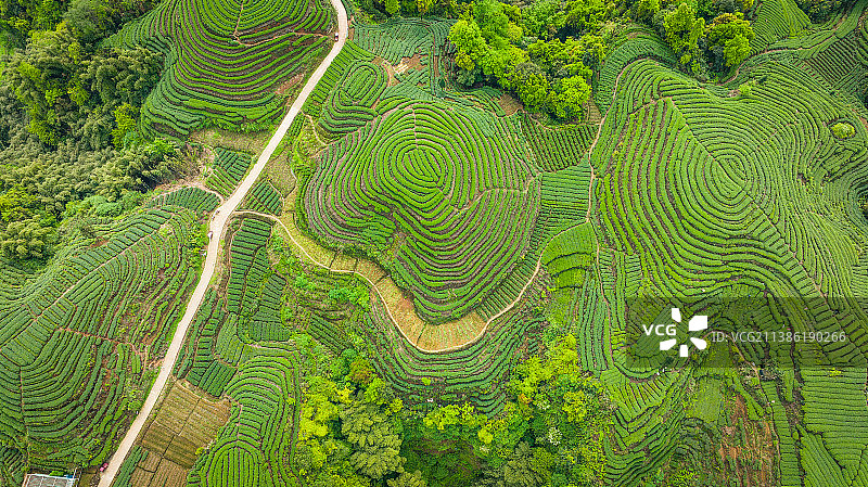 大地指纹图片素材