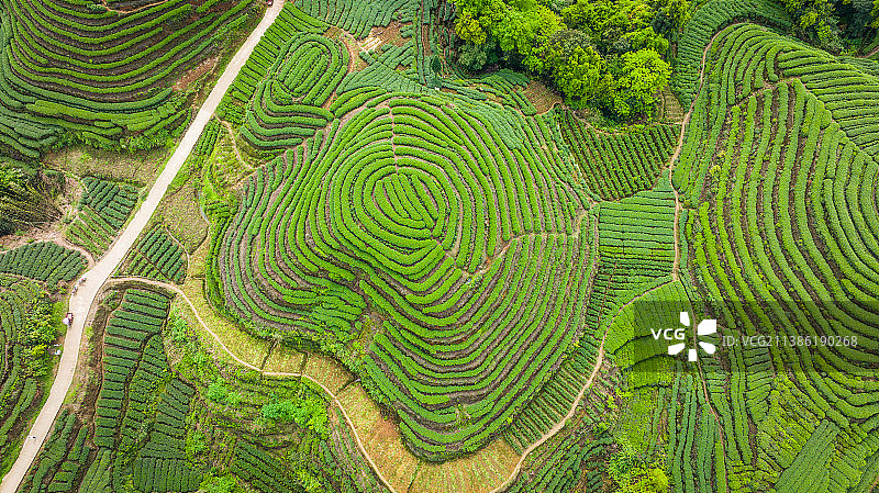 大地指纹图片素材