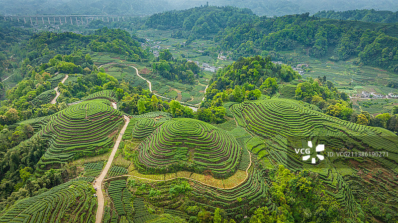 大地指纹图片素材