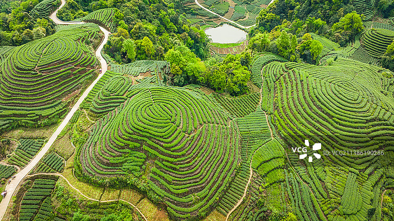 大地指纹图片素材