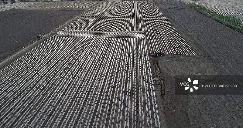 新疆哈密：兵团机采棉开拉开了棉花种植的序幕图片素材