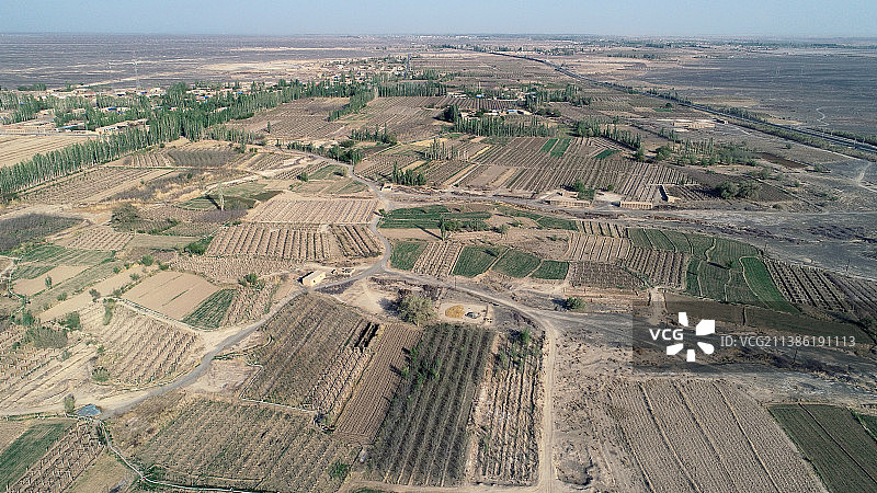 新疆哈密：春来大地绽绿，绿洲农村如画图片素材