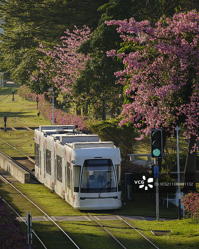 广州 有轨电车图片素材