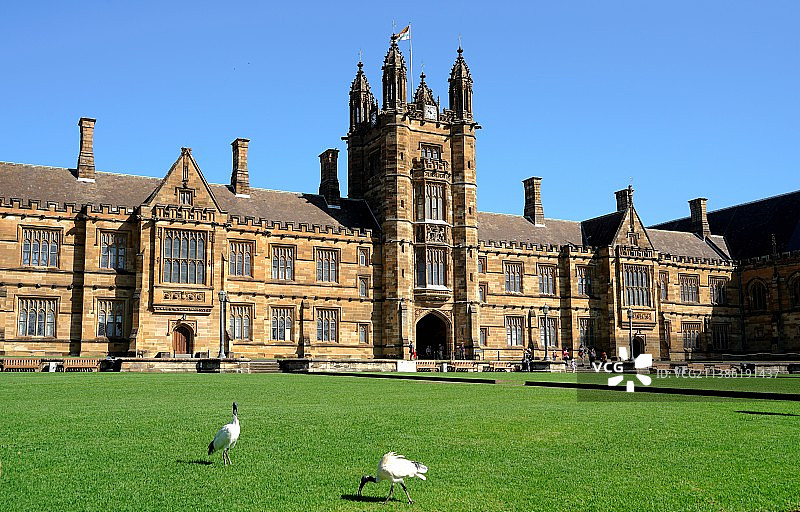 悉尼大学图片素材