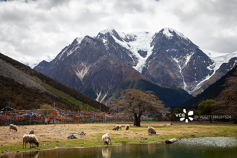 雪山下（梅里雪山甲应村）图片素材