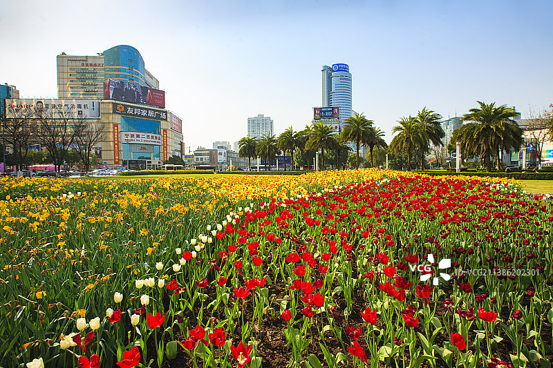 宁波江厦街图片素材