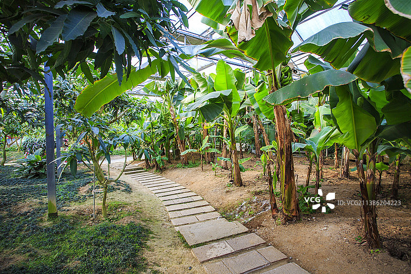 天宫庄园图片素材