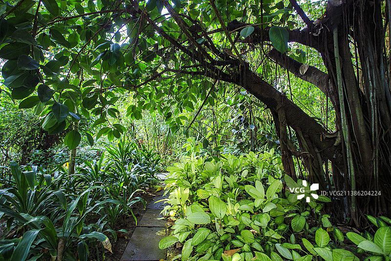 天宫庄园图片素材