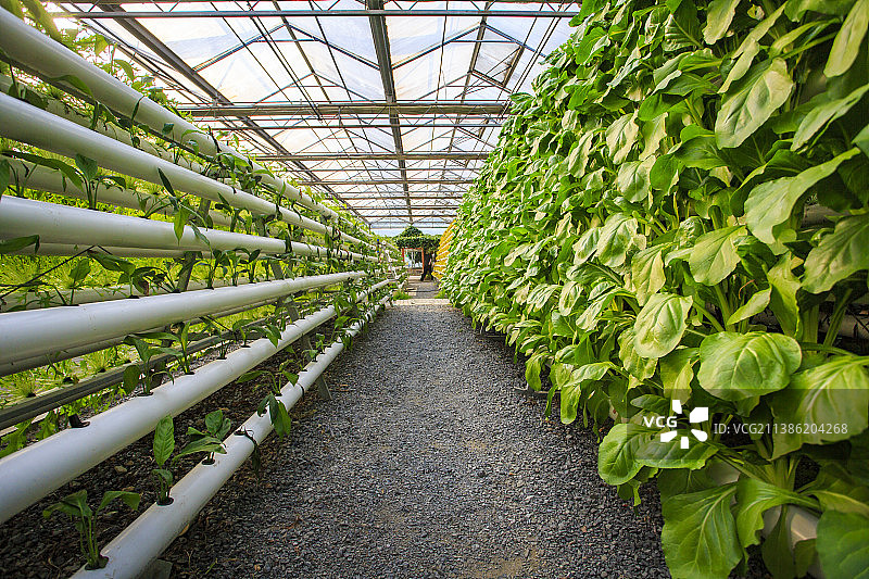 天宫庄园图片素材