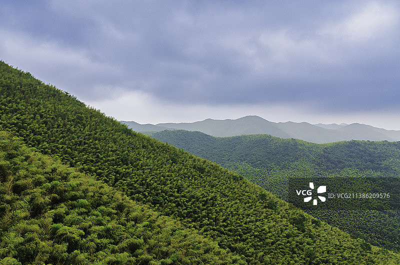 绿意盎然的江苏宜兴竹海风景区图片素材