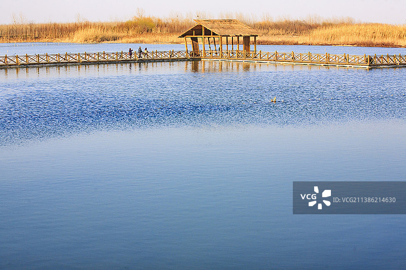 溱湖湿地公园图片素材