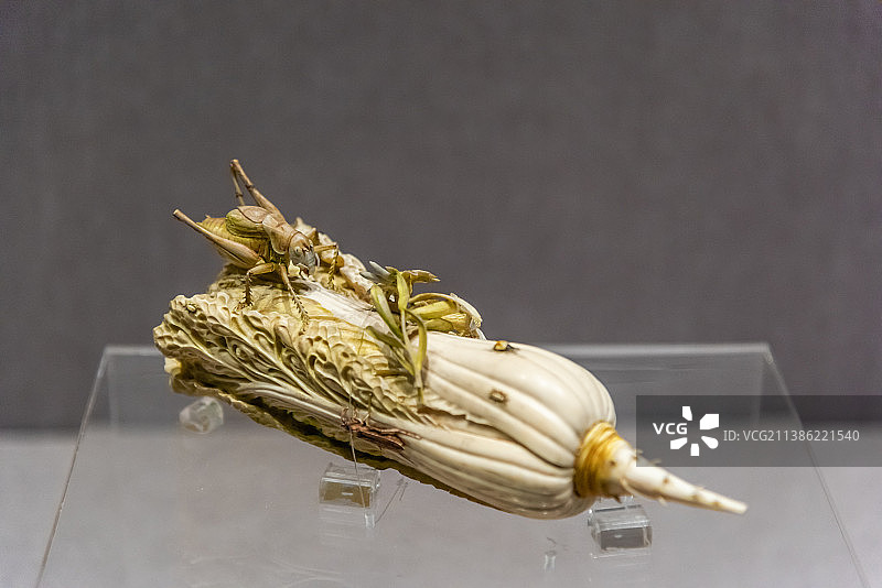 清代象牙雕白菜图片素材