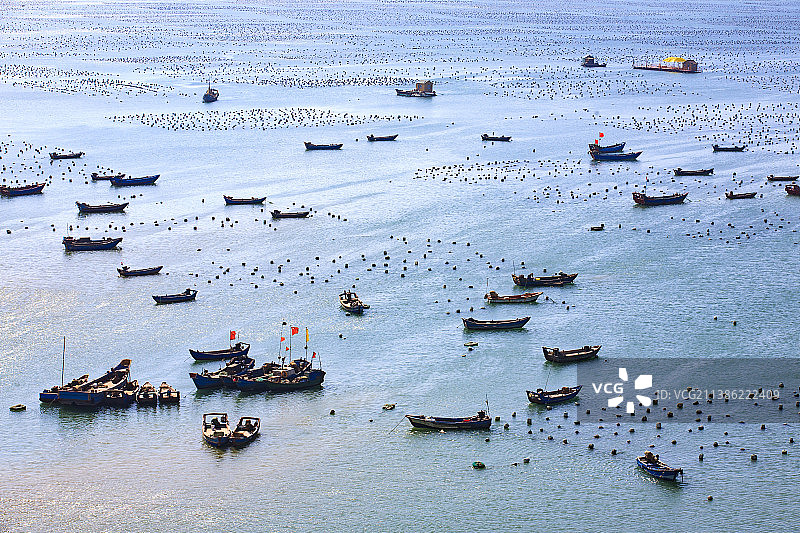 枸杞岛图片素材