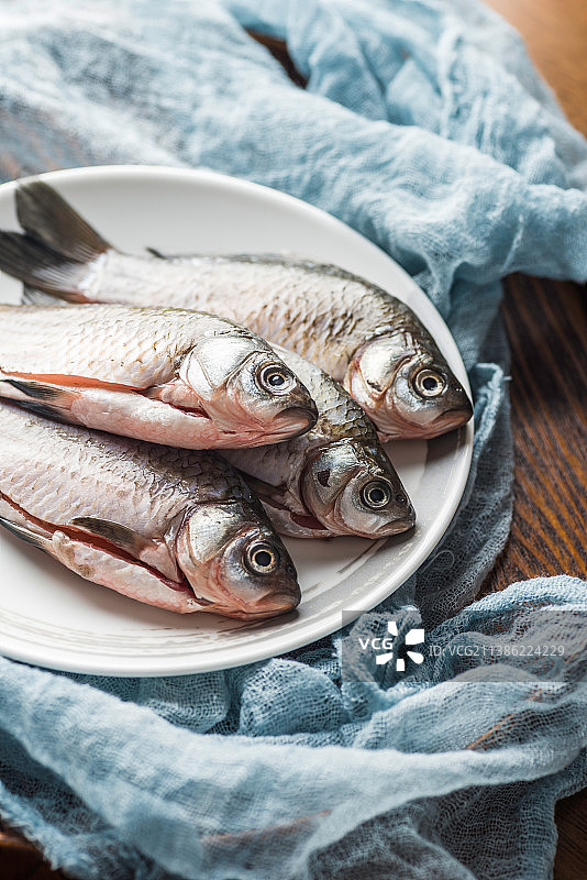 白瓷盘里四条清洗干净的野生鲫鱼图片素材
