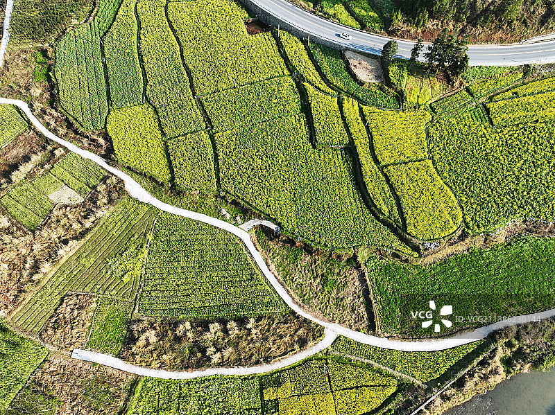 贵州锦屏：春染田园乡村美图片素材