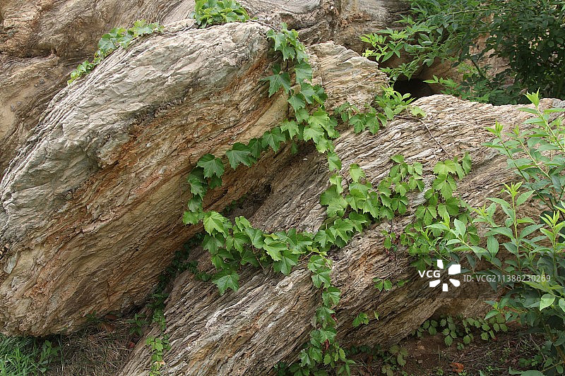 金石园 大连图片素材
