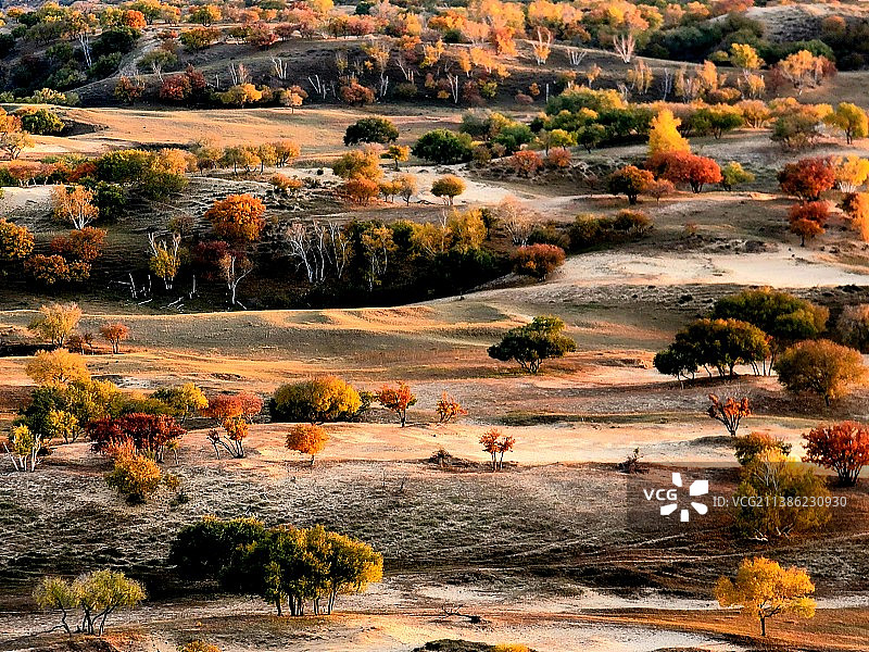 塞上秋来图片素材