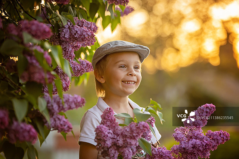 时尚学龄前儿童在盛开的花园里欣赏紫丁香花丛图片素材