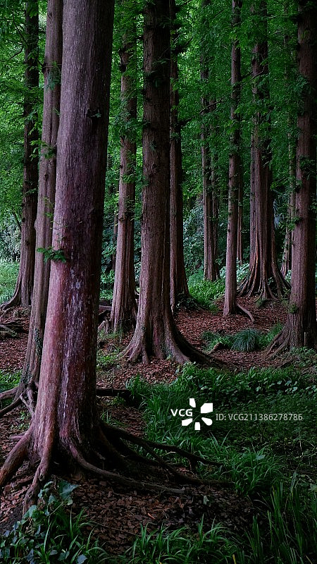 杭州西湖国宾馆图片素材