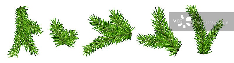 独立松树枝冷杉装饰图片素材