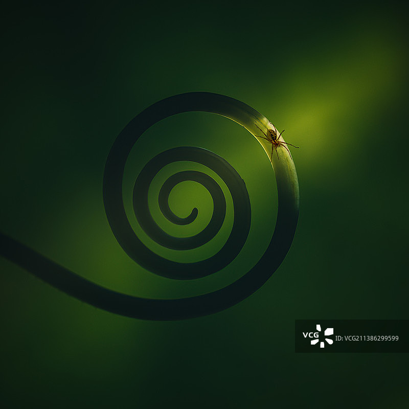 禅 人生图片素材