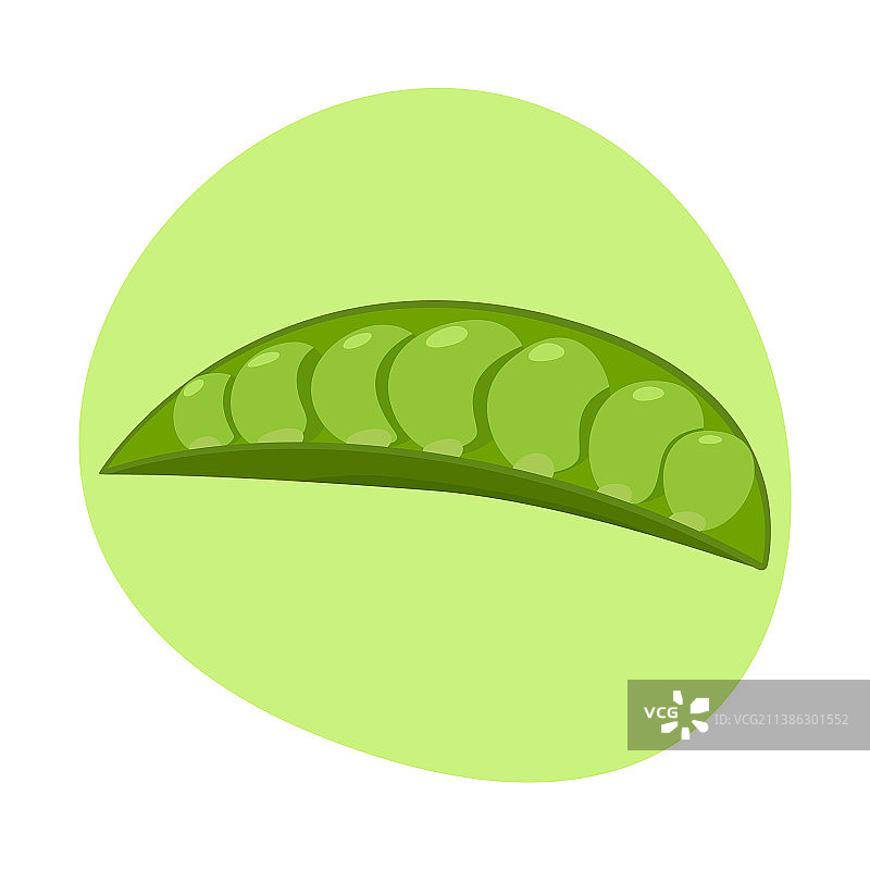 彩色豌豆卡通有机蔬菜明亮合集图片素材