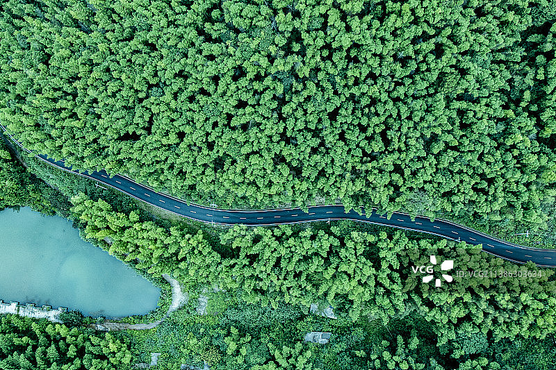 衡阳耒阳蔡伦竹海图片素材