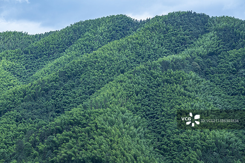 衡阳耒阳蔡伦竹海图片素材