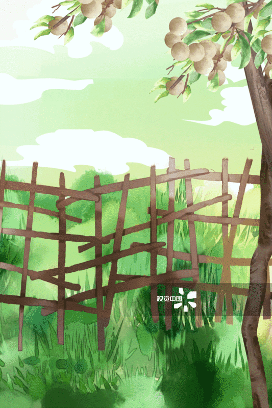 桂圆果园插画背景-GIF动图图片素材