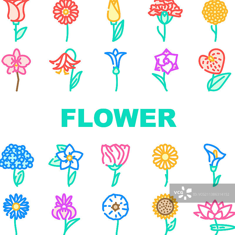 花卉天然芳香植物图标集图片素材