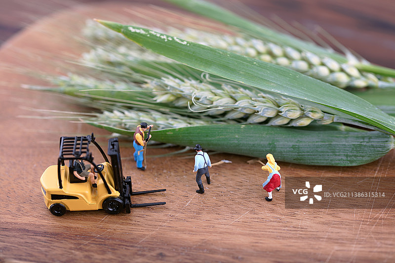 微缩创意收割青小麦图片素材