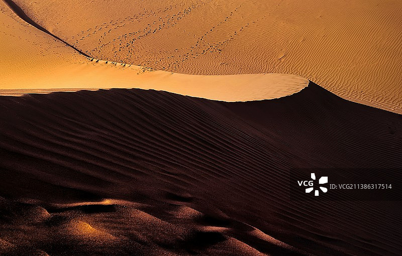 大漠魂图片素材