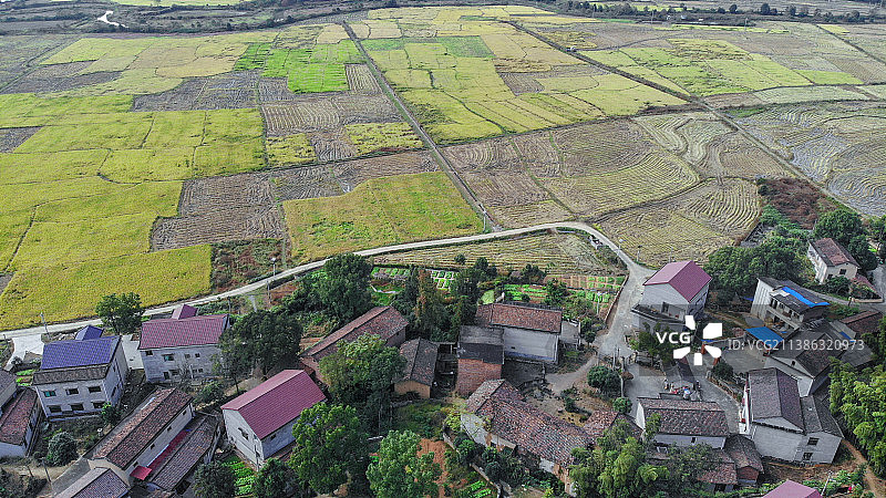 农业领域的高角度视角图片素材