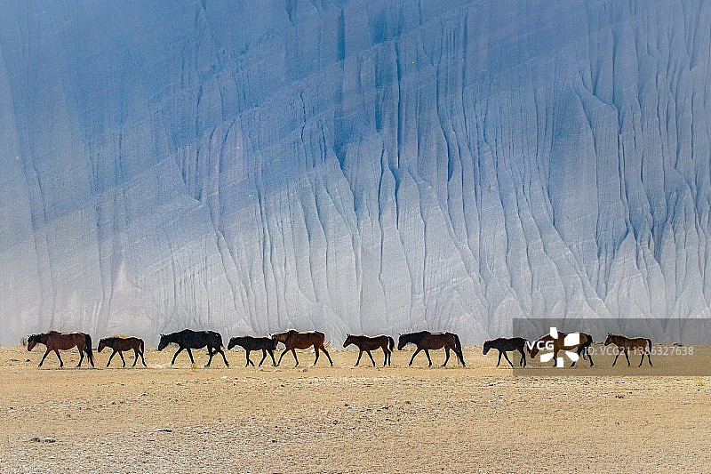 新疆安集海大峡谷的马队图片素材
