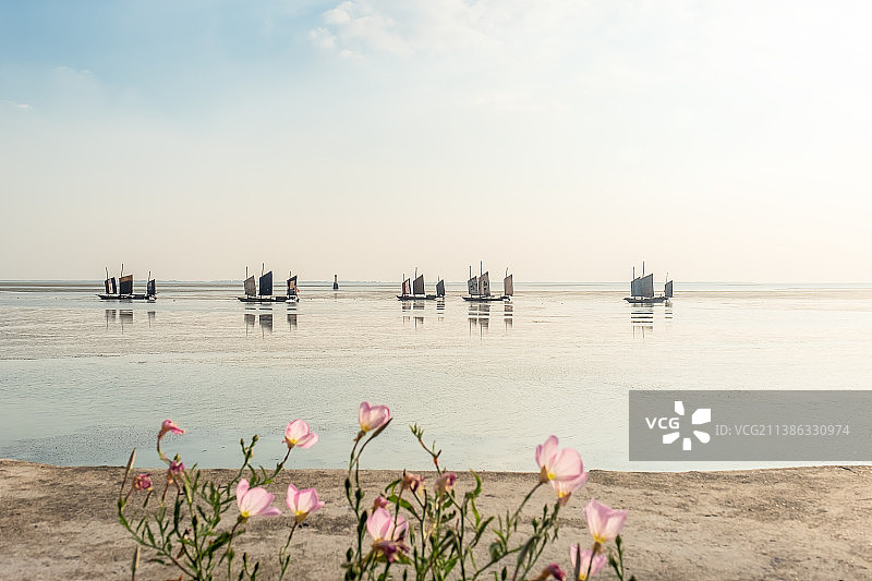 落日前花开高邮湖湖景图片素材
