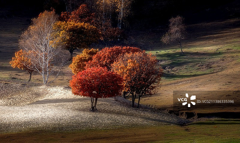 坝上秋韵～图片素材