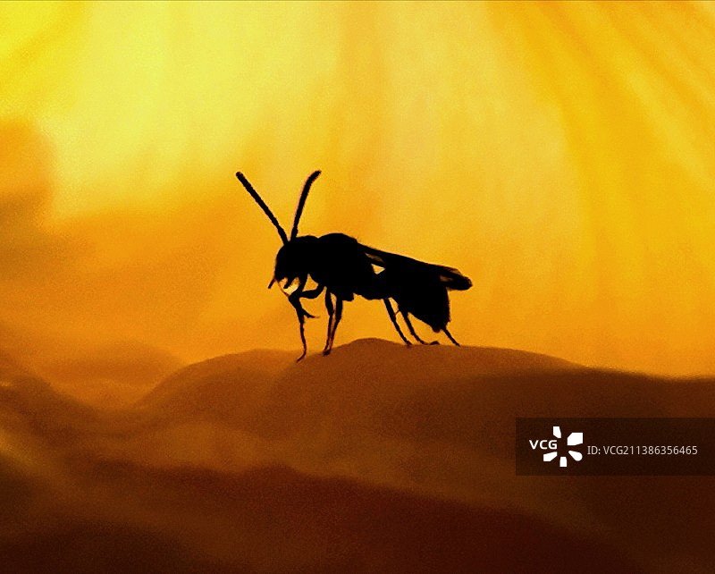 进入梦境图片素材