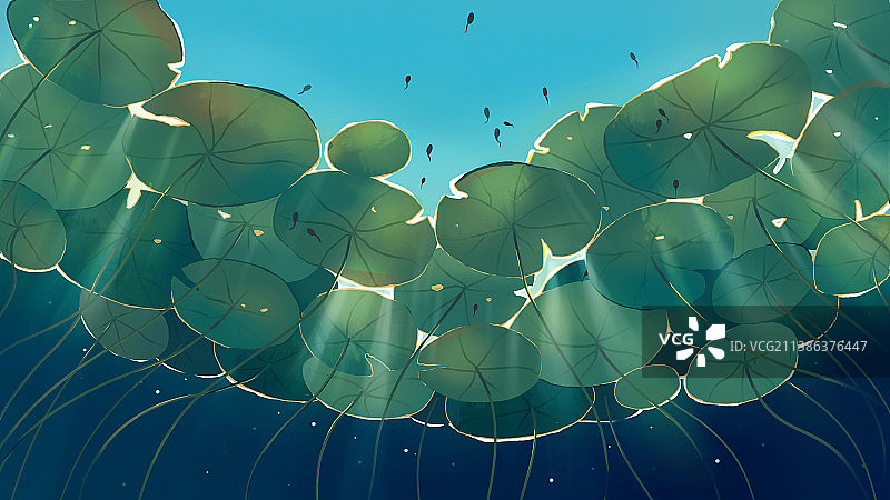 夏天水底莲叶治愈手绘插画图片素材