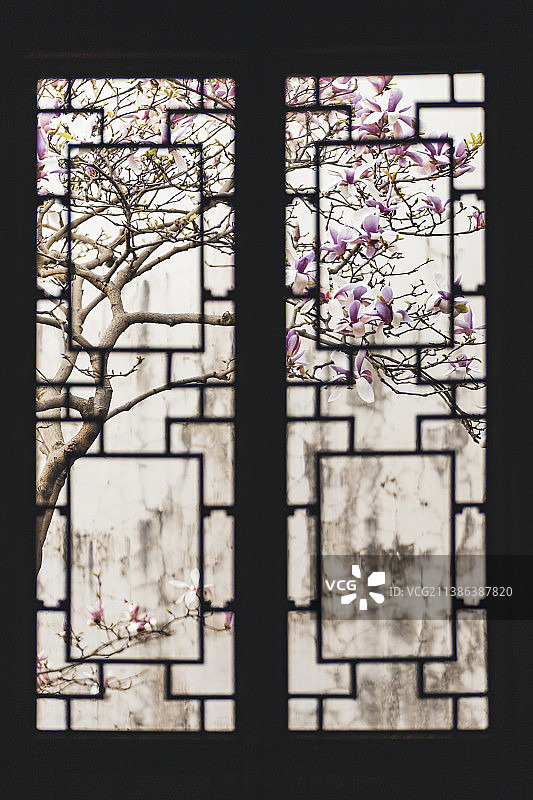 耦园花窗玉兰图片素材