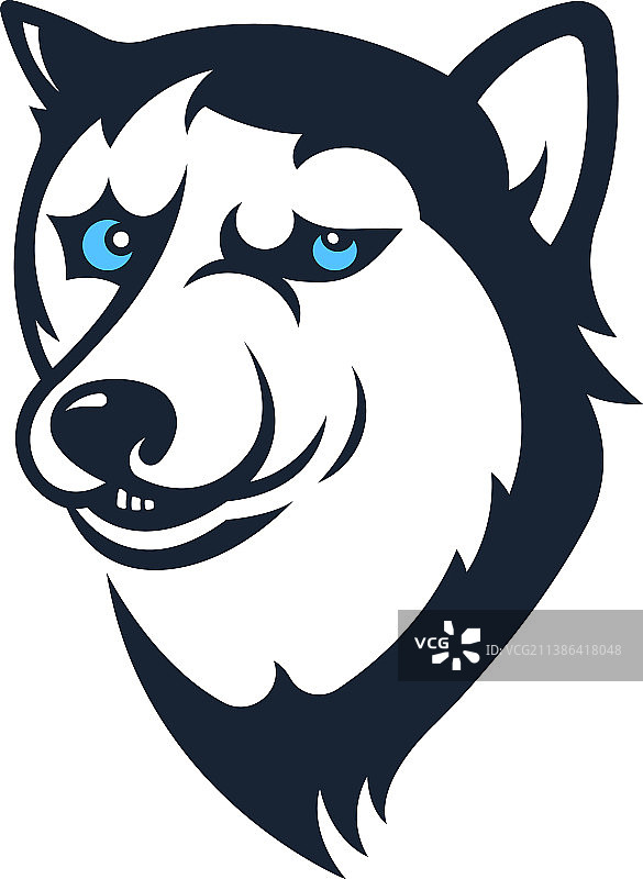 西伯利亚哈士奇贴纸图片素材