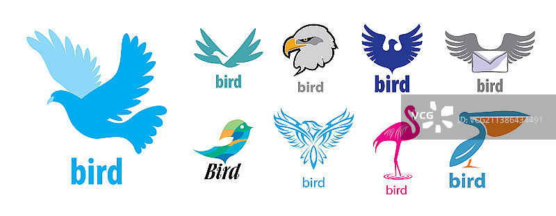 白色背景上的鸟类logo图片素材