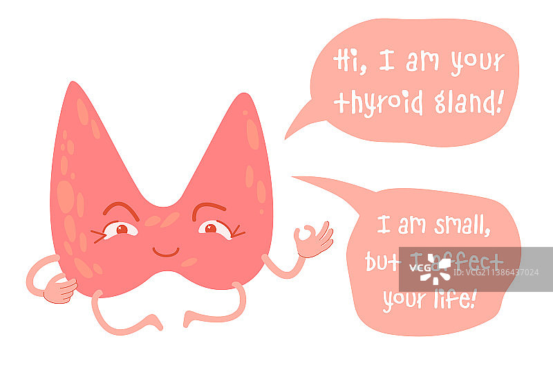 健康的甲状腺卡通形象图片素材