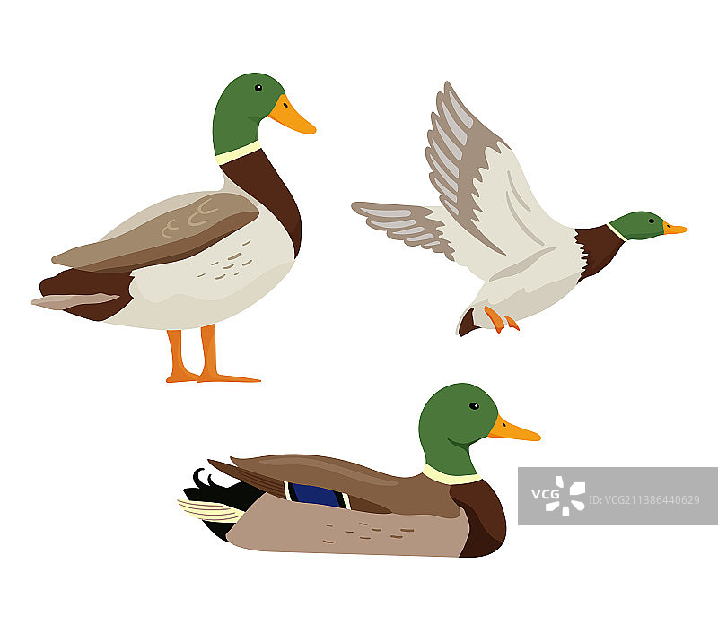 狩猎场景中飞翔的鸭子卡通图图片素材