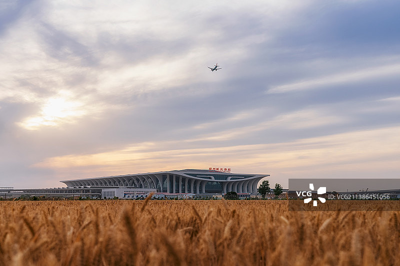 河南郑州高铁站郑州航空港站（原郑州南站）站房与麦田夏季户外风光图片素材